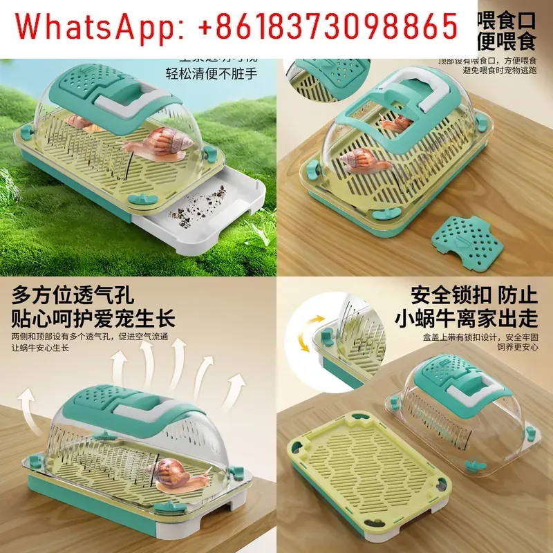 Outdoor Adventure Experiences - Caja de insectos para aventuras al