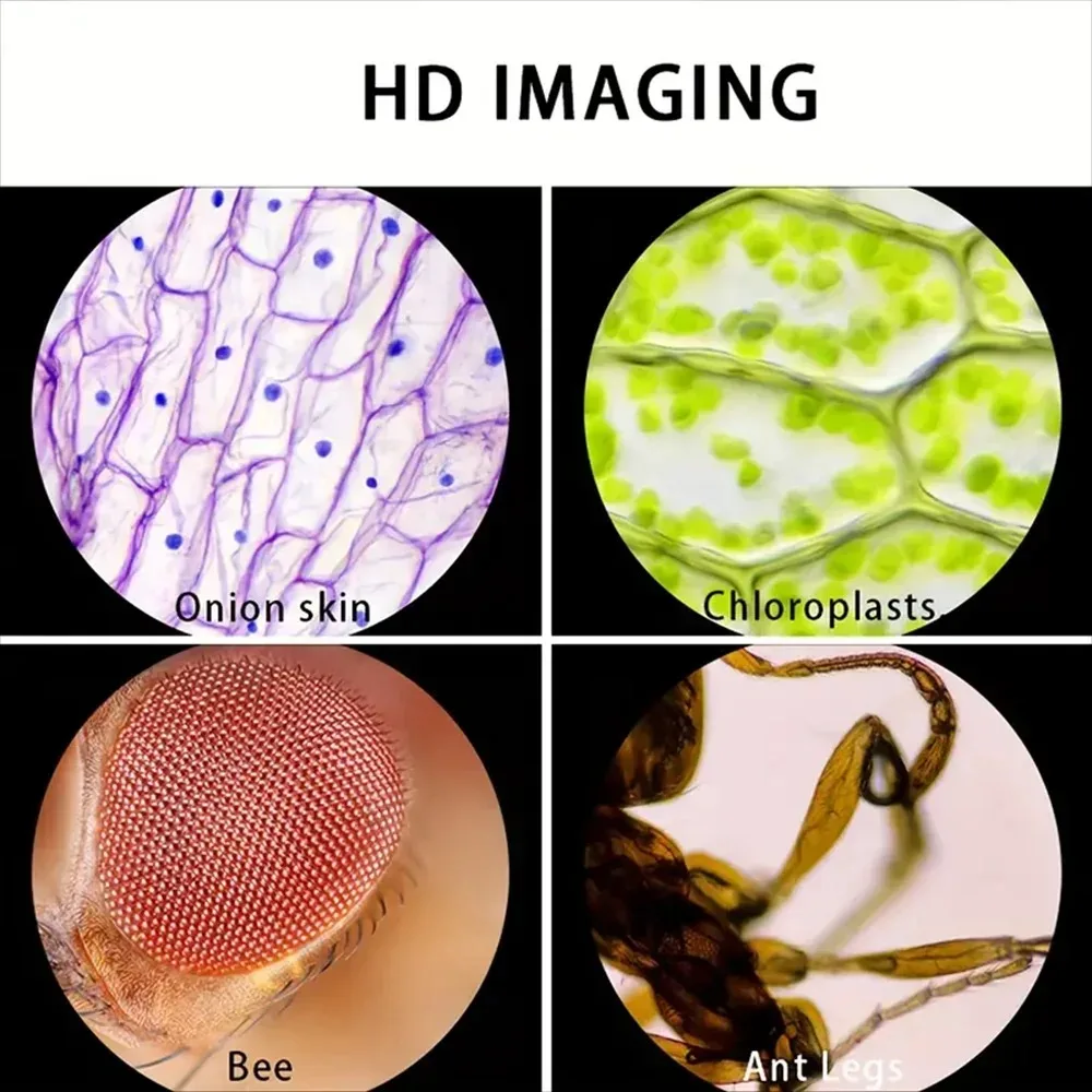 Microscopio de Bolsillo para N - Outdoor Adventure Microscope reseña y precio